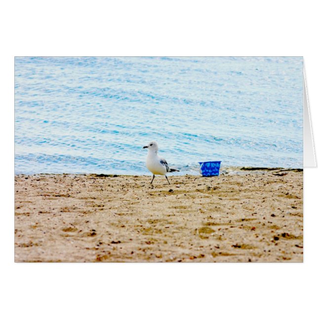 Bird with Sand Pail (Front Horizontal)