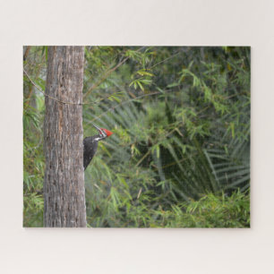 Bird Woodpecker Nature Wildlife Cute Animal Photo Jigsaw Puzzle