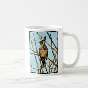 Birdagw mug