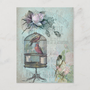 Birdcage Blossom Postcard
