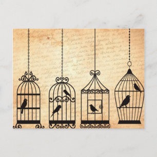 Birdcage Silhouettes Postcard