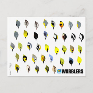 BirdFace Warbler Postcard
