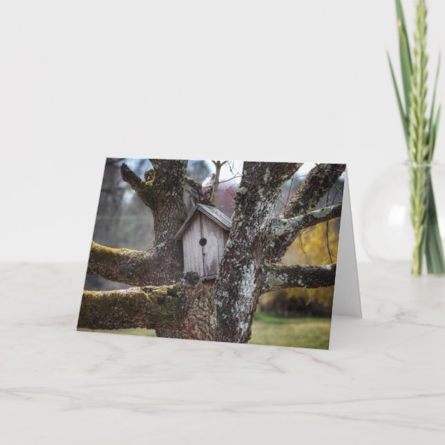Birdhouse 4219 Framable greetibg card (Front)