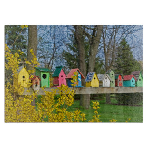 Birdhouse Boulevard Cutting Board