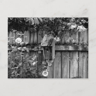 Birdhouse in Summer Postcard