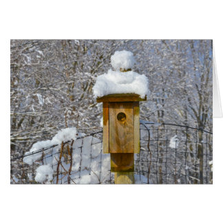 Birdhouse in Winter