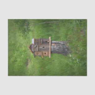 Birdhouse Watercolor Green Rustic Fine Art Country Tissue Paper