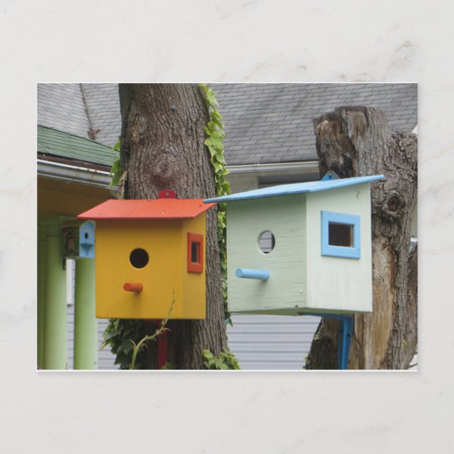 Birdhouses Postcard (Front)