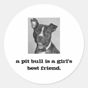 BIRDIE, a pit bull is a girl's best friend. Classic Round Sticker