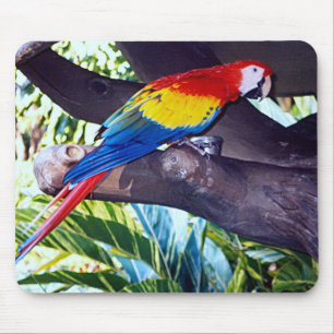 BIRDIE MOUSE PAD