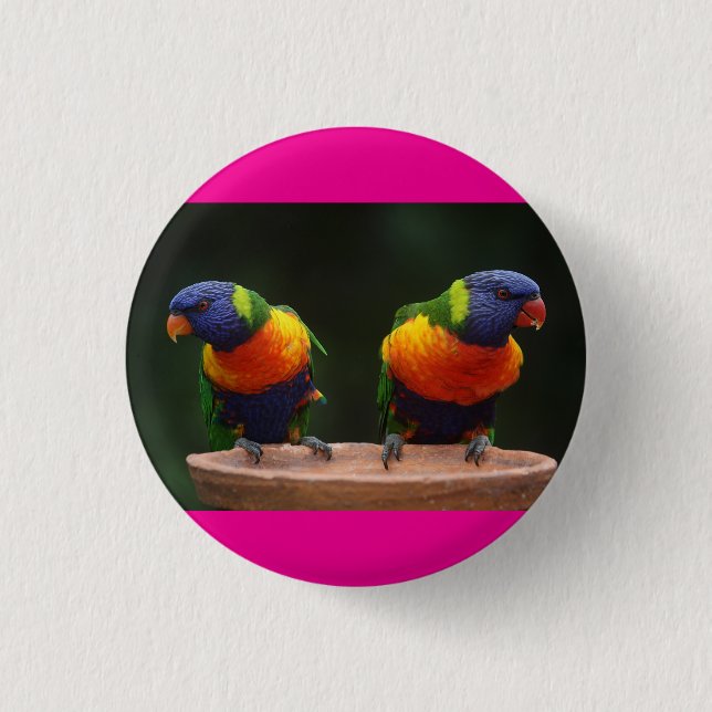 birdies cute  3 cm round badge (Front)