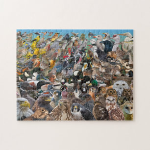 Birding Big Year Jigsaw Puzzle