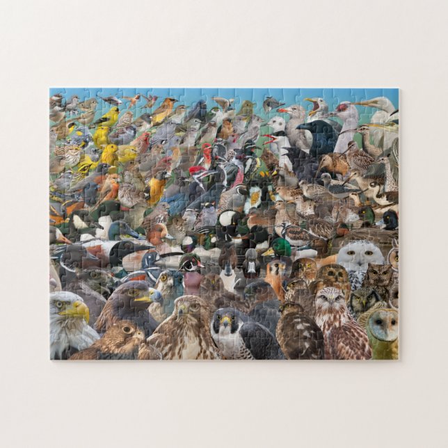 Birding Big Year Jigsaw Puzzle (Horizontal)