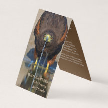 Birding Guide Hawk Business Card