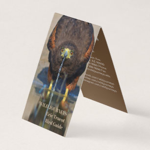 Birding Guide Hawk Business Card