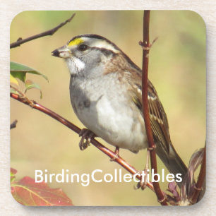 BirdingCollectibles Coaster