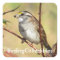 BirdingCollectibles Stickers