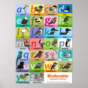 Birdorable Alphabet of Birds Poster