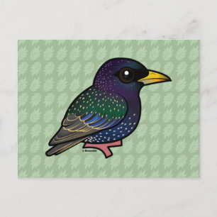 Birdorable European Starling Postcard