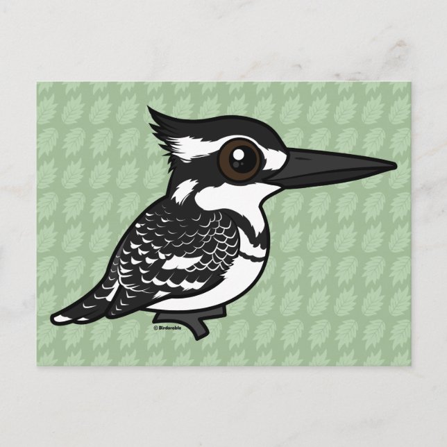 Birdorable Pied Kingfisher Postcard (Front)