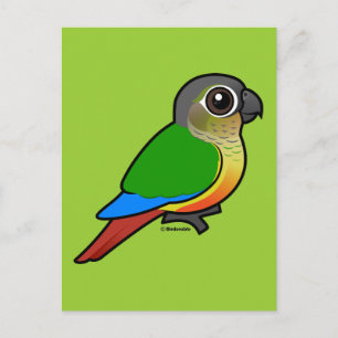 Birdorable Yellow-sided Conure Postcard