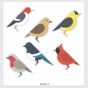 Birds