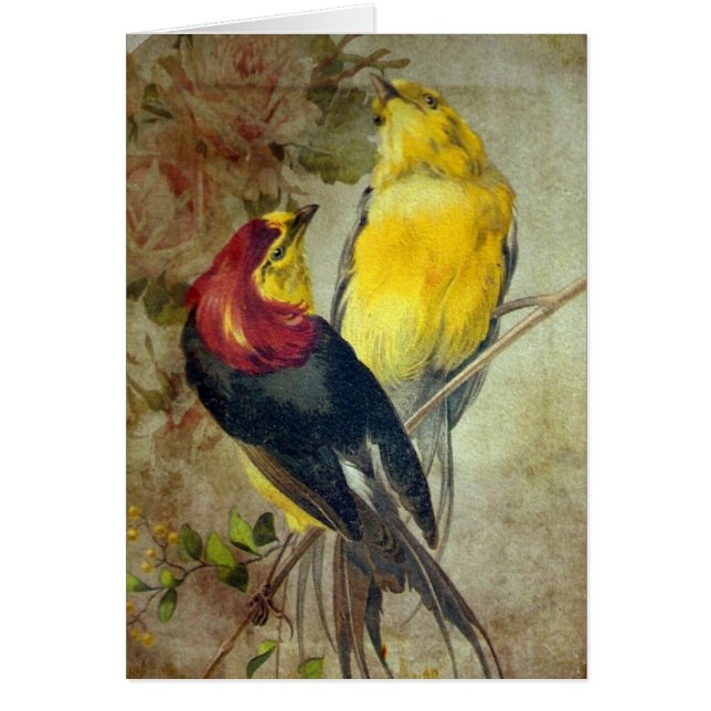Birds (Front)