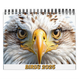 BIRDS 2025 CALENDAR TWITCHERS DELIGHT!