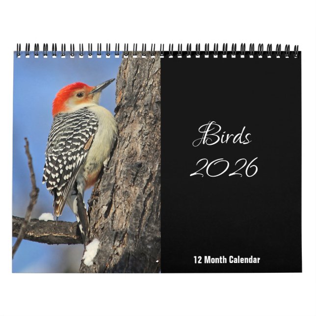 Birds 2026 Calendar (Cover)