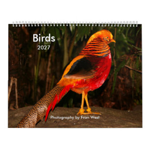 Birds 2027 calendar