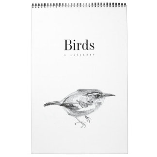 Birds: A Calendar