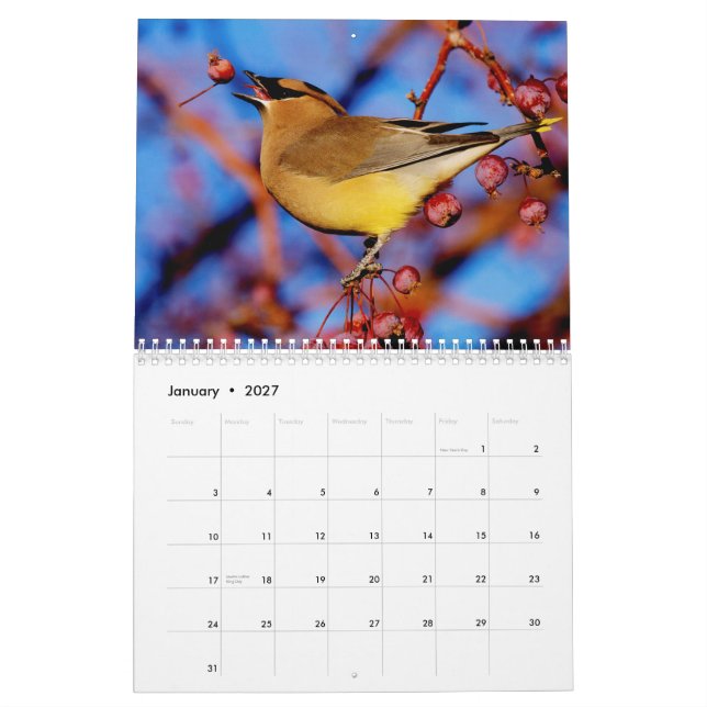 Birds and Blooms 2015 Calendar (Jan 2027)