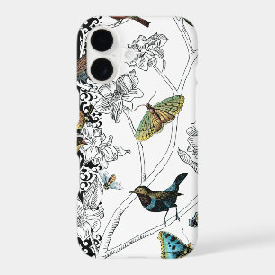 Birds and Butterfly on a Black & White Background