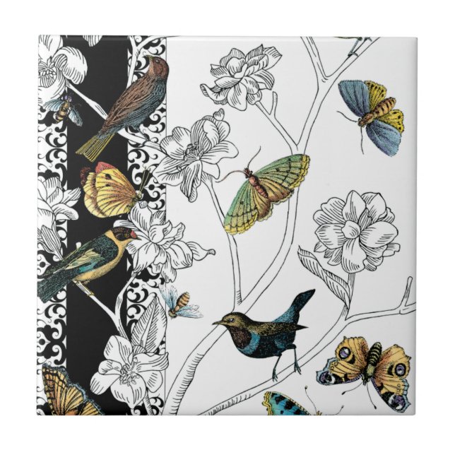 Birds and Butterfly on a Black & White Background Ceramic Tile (Front)