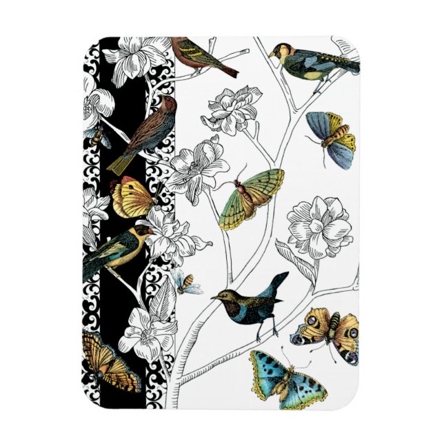 Birds and Butterfly on a Black & White Background Magnet (Vertical)