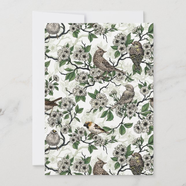 Birds and cherry blossom on white (Front)