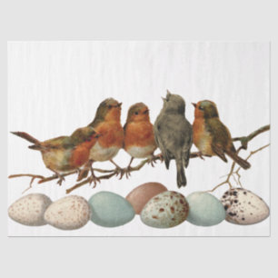 Birds and Eggs Vintage European Robin Decoupage Tissue Paper