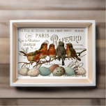Birds and Eggs Vintage French City Names Decoupage Tissue Paper<br><div class="desc">A group of five European robin birds sit on a branch above seven blue and speckled eggs with vintage French city names and addresses in the background.</div>