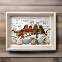 Birds and Eggs Vintage French City Names Decoupage