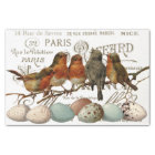 Birds and Eggs Vintage French City Names Decoupage