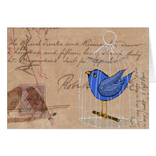 Birds and Ephemera