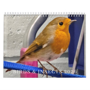Birds and insects 2026 calendar