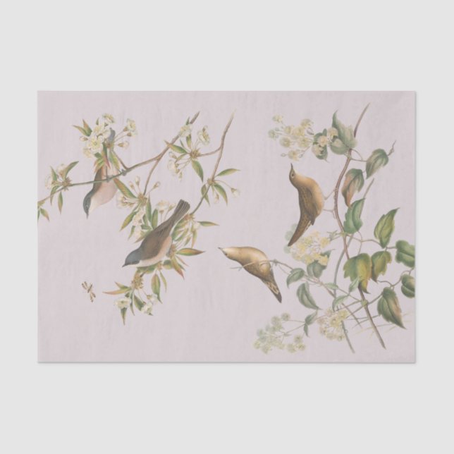 Birds and leaves, romantic wedding  tissue paper (Front)