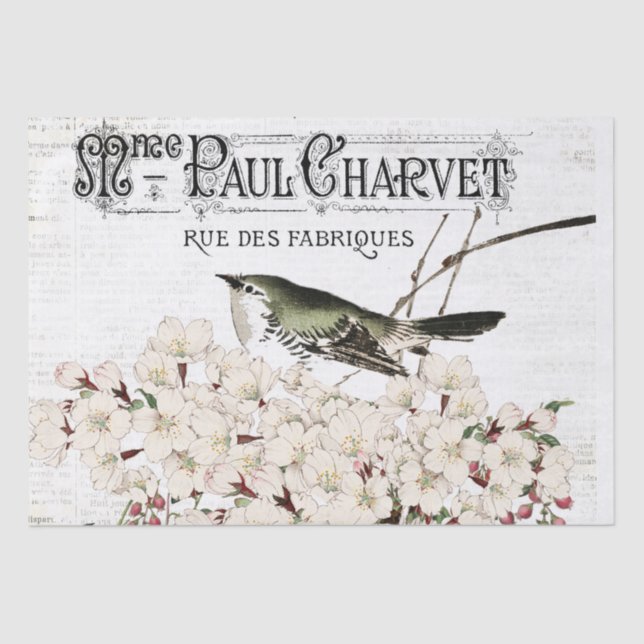 Birds and Magnolia Tissue Paper (Front)