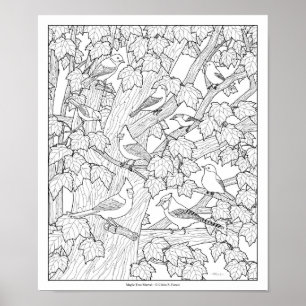 Birds and Maple Tree Adult Colouring Page 12"x10" Poster