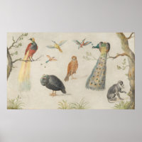 Birds and Monkey - Jan van Kessel Fine Art Poster
