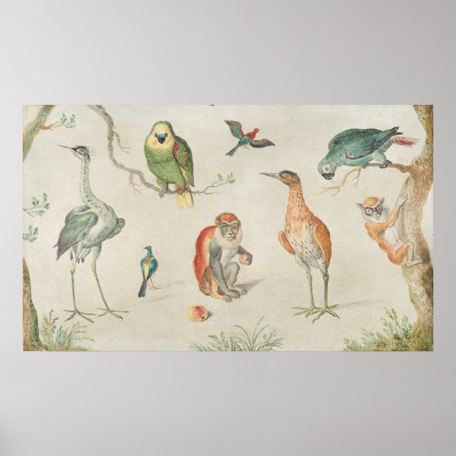 Birds and Monkeys - Jan van Kessel Fine Art Poster (Front)