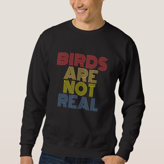 Birds Are Not Real Conspiracy Theory Sweatshirt (Front)