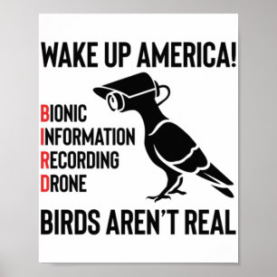 Birds Are Not Real - If It Flies, It Spies Poster