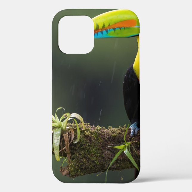 birds are the only animals with feathers 2 Case-Mate iPhone case (Back)
